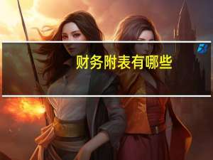 财务附表有哪些