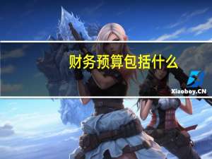 财务预算包括什么