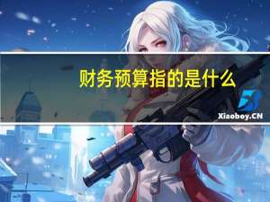 财务预算指的是什么