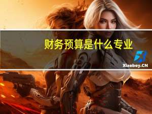 财务预算是什么专业