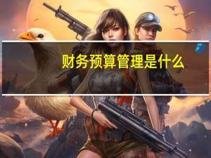 财务预算管理是什么