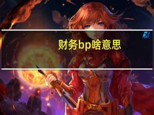财务bp啥意思（财务bp是什么意思）