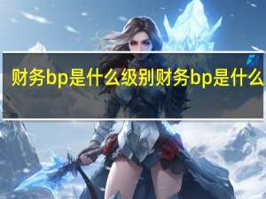 财务bp是什么级别 财务bp是什么意思