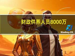 财政供养人员8000万（财政供养）