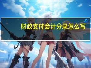 财政支付会计分录怎么写