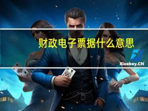 财政电子票据什么意思_