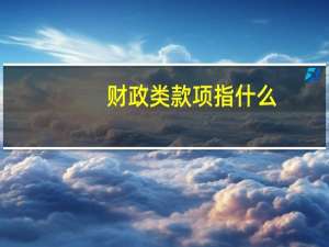 财政类款项指什么