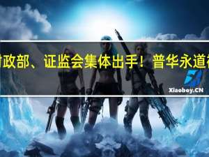 财政部、证监会集体出手！普华永道被重罚 4.41亿罚单落地