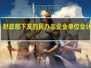财政部下发的民办非企业单位会计制度（民办非企业单位会计制度）