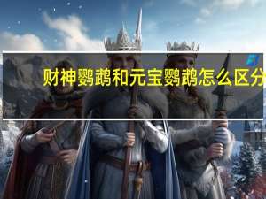 财神鹦鹉和元宝鹦鹉怎么区分