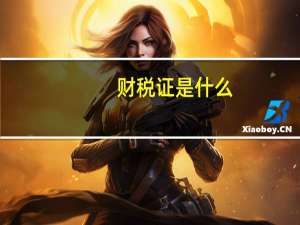 财税证是什么