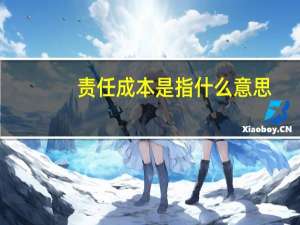 责任成本是指什么意思