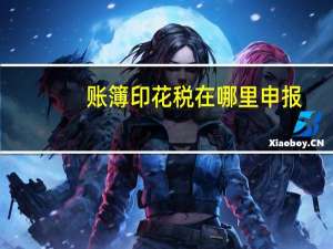 账簿印花税在哪里申报