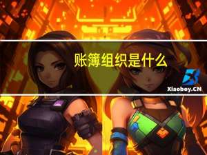 账簿组织是什么
