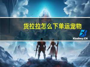 货拉拉怎么下单运宠物