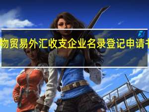 货物贸易外汇收支企业名录登记申请书怎么填