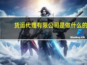 货运代理有限公司是做什么的（货运代理是做什么的）