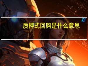 质押式回购是什么意思