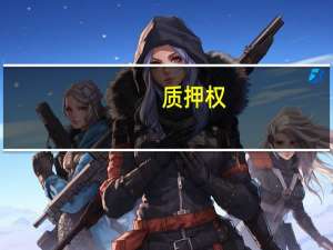 质押权（关于质押权的介绍）