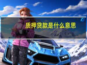 质押贷款是什么意思