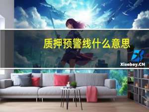 质押预警线什么意思