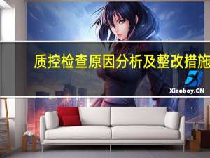 质控检查原因分析及整改措施（质控）