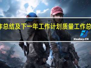 质量工作总结及下一年工作计划 质量工作总结和工作计划