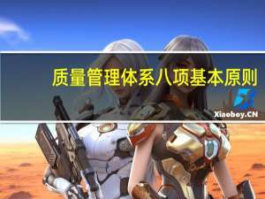 质量管理体系八项基本原则