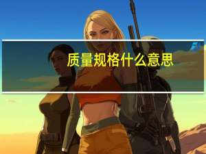 质量规格什么意思