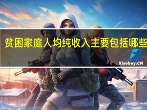 贫困家庭人均纯收入主要包括哪些内容