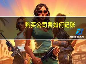购买公司费如何记账