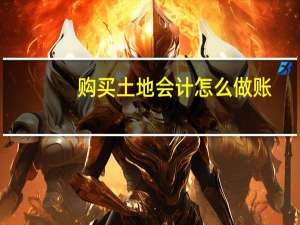 购买土地会计怎么做账