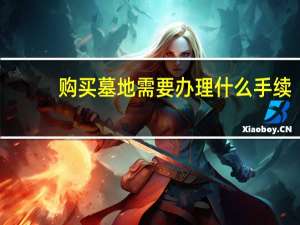 购买墓地需要办理什么手续
