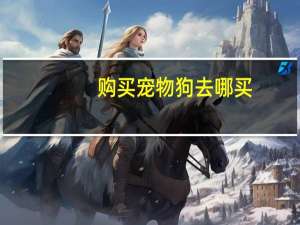 购买宠物狗去哪买