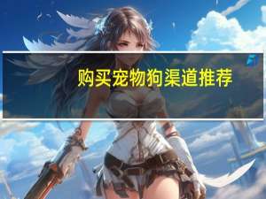 购买宠物狗渠道推荐