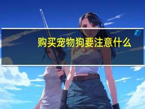 购买宠物狗要注意什么