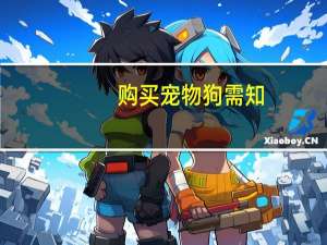 购买宠物狗需知