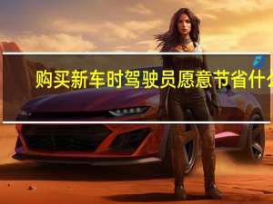 购买新车时驾驶员愿意节省什么