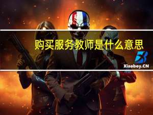 购买服务教师是什么意思