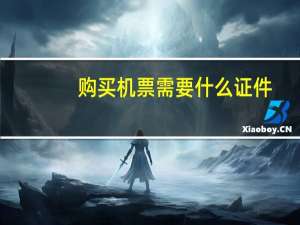 购买机票需要什么证件