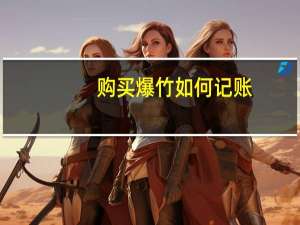 购买爆竹如何记账