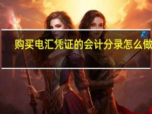 购买电汇凭证的会计分录怎么做啊，