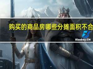 购买的商品房哪些分摊面积不合理