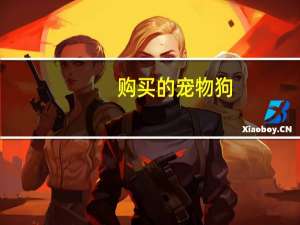 购买的宠物狗