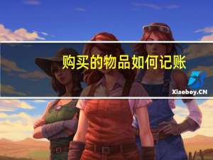 购买的物品如何记账