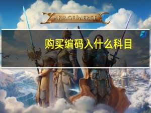 购买编码入什么科目