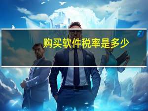 购买软件税率是多少