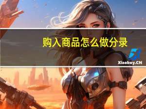 购入商品怎么做分录