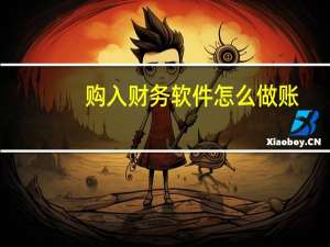 购入财务软件怎么做账