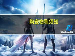 购宠物狗须知